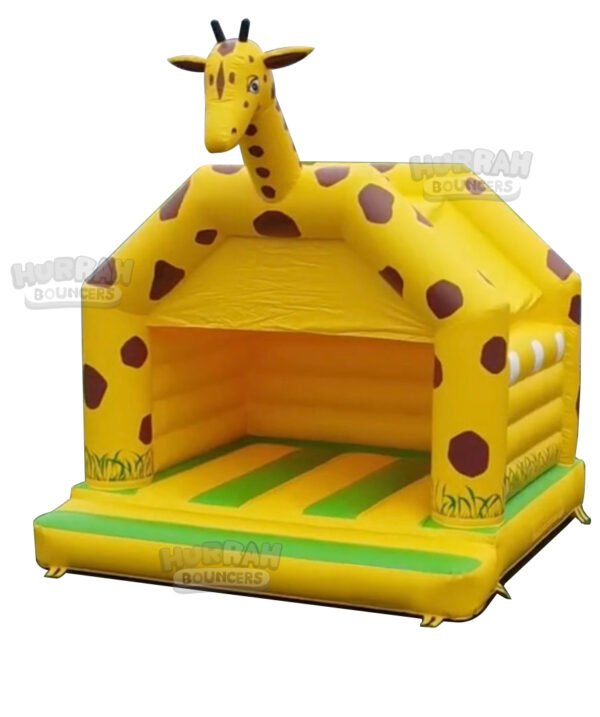 Inflatable Bounce House-HBBH24081102