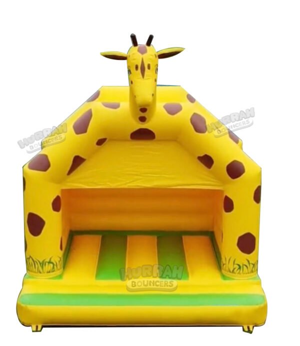 Inflatable Bounce House-HBBH24081102 - Image 2